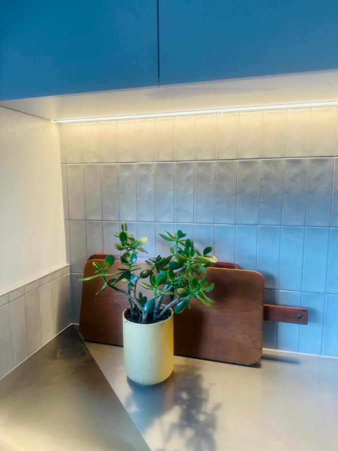 2 Bed Beckenham Beauty - Pet Friendly Villa Christchurch Eksteriør bilde